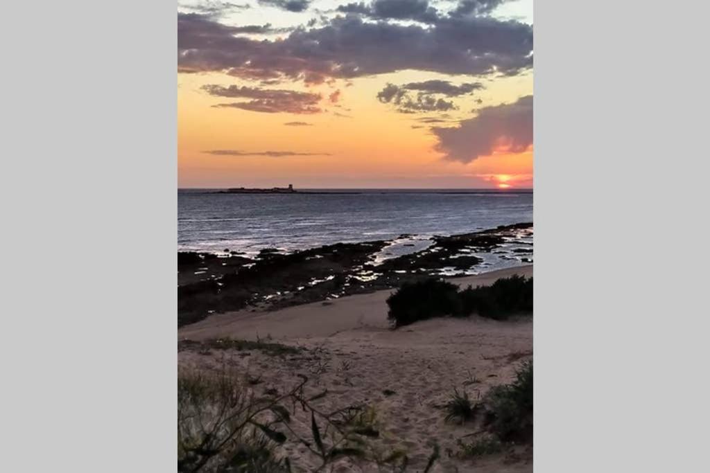Apartamento Costa Sancti-Petri La Barrosa Chiclana Chiclana de la Frontera Exteriör bild